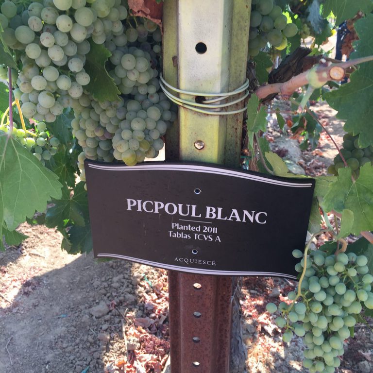 Vineyard marker at Lodi's Acquiesce estate, noting that the vines are Tablas clones.